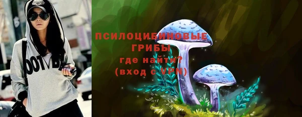 стаф Тайга