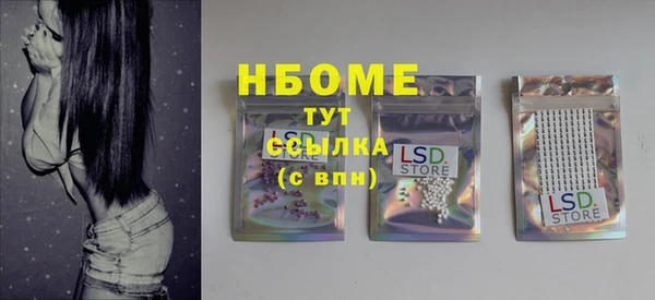 стаф Тайга