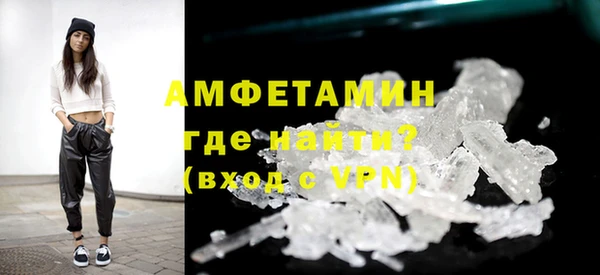 стаф Тайга
