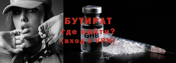 стаф Тайга