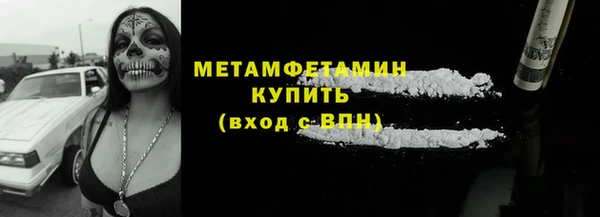 стаф Тайга