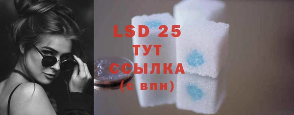 стаф Тайга