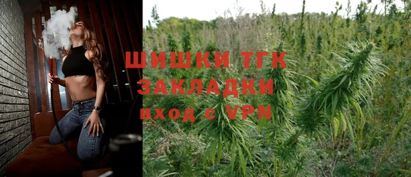 стаф Тайга