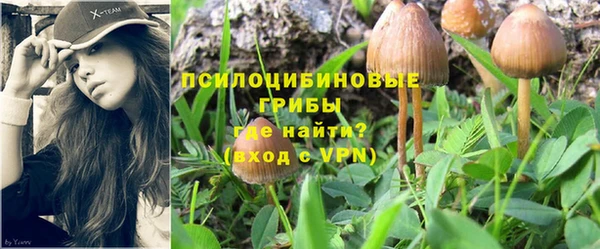дурь Тавда