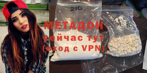 стаф Тайга