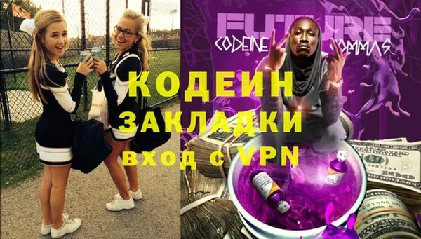 стаф Тайга