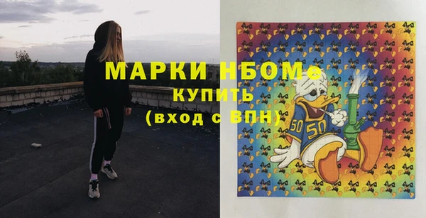 стаф Тайга