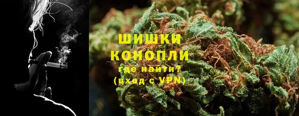 дурь Тавда