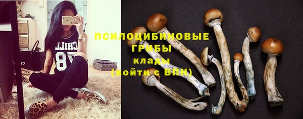 дурь Тавда